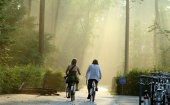 Puzzelend over de Veluwe